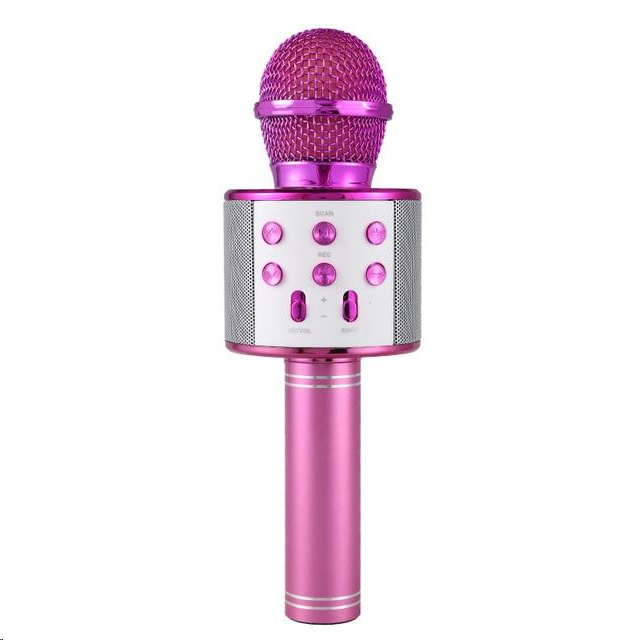 【Half price at the second item】Wireless Bluetooth Karaoke Microphone