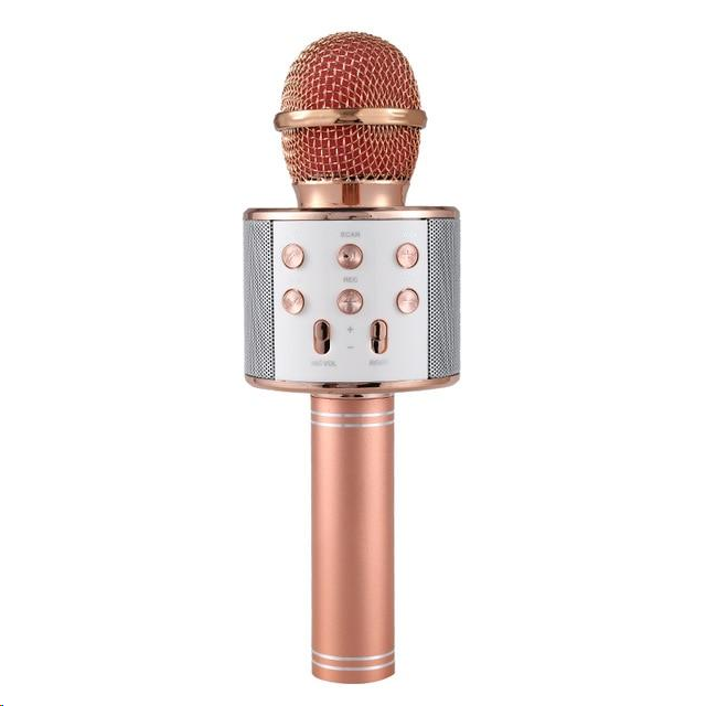【Half price at the second item】Wireless Bluetooth Karaoke Microphone